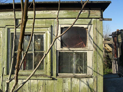 tv_shed