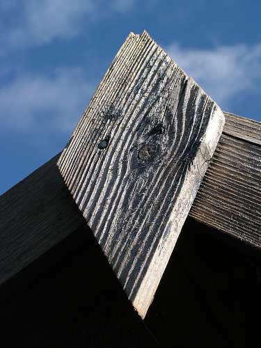 Wood Grain & Sky by John of Witney