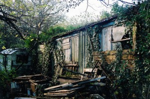 Autumn shed David james