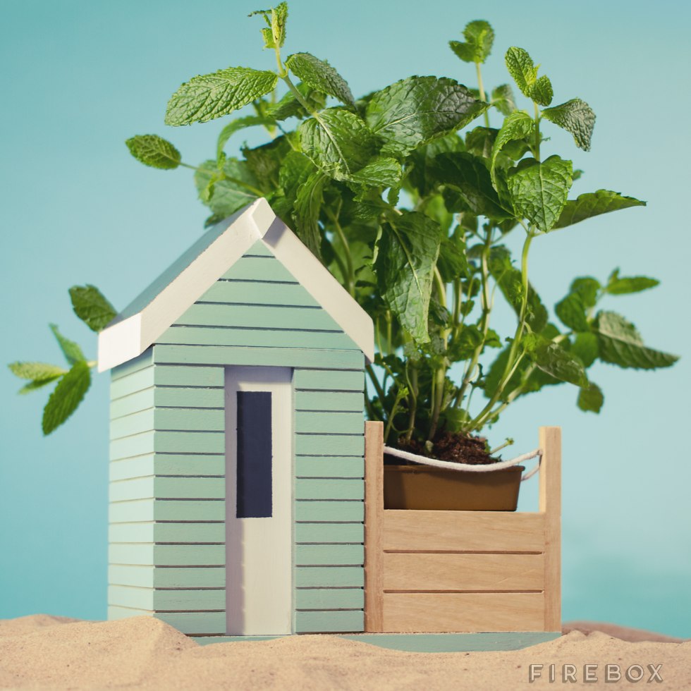 beachhut-firebox